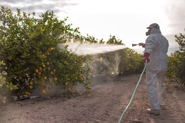 Best Wasp Removal Services  in Melville, RI