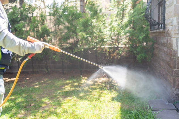 Best Pest Control Near Me  in Melville, RI