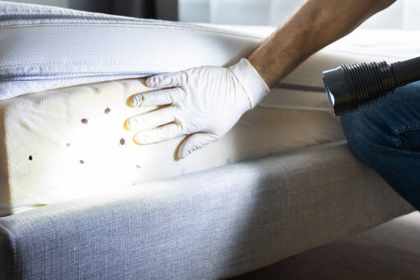 Best Wildlife Control Services  in Melville, RI