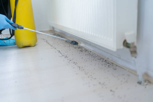 Best Insect Control  in Melville, RI