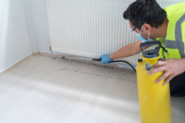 Professional Pest Control in Melville, RI