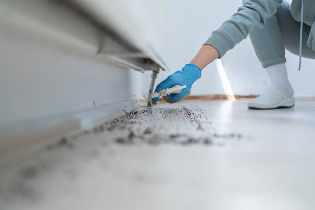 Best Pest Prevention Services  in Melville, RI